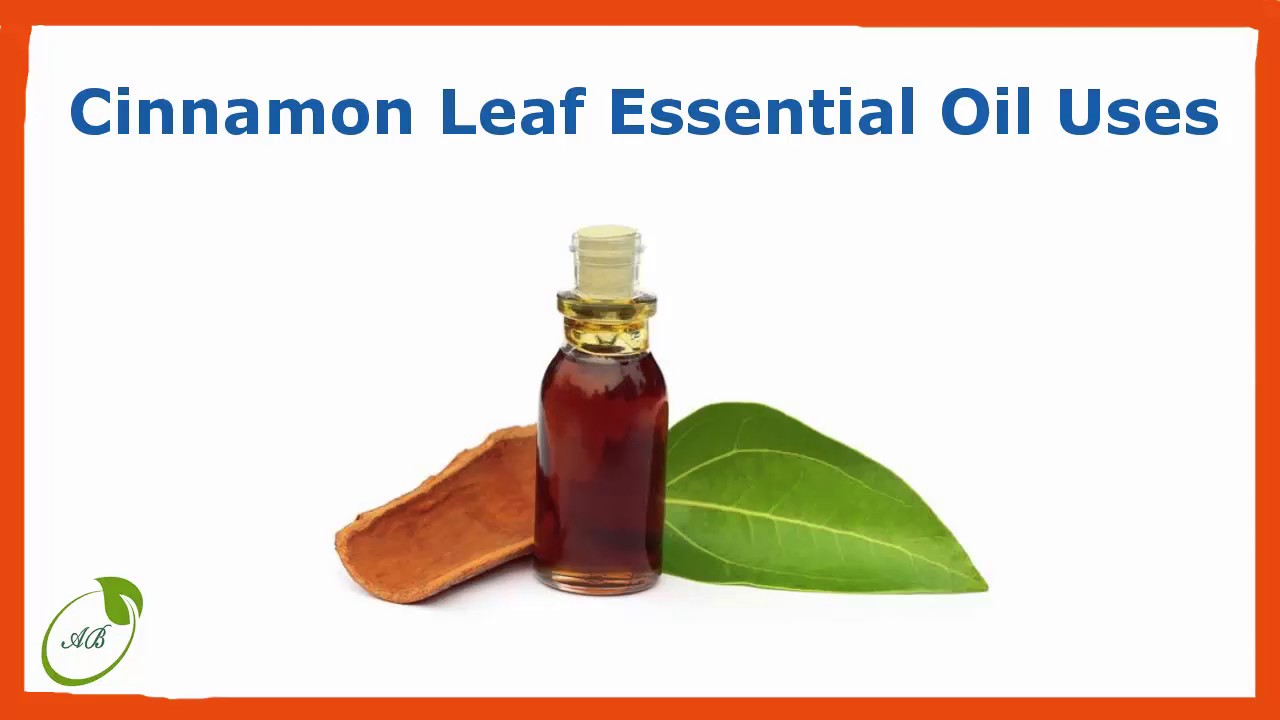 Cinnamon leaf essential oil uses