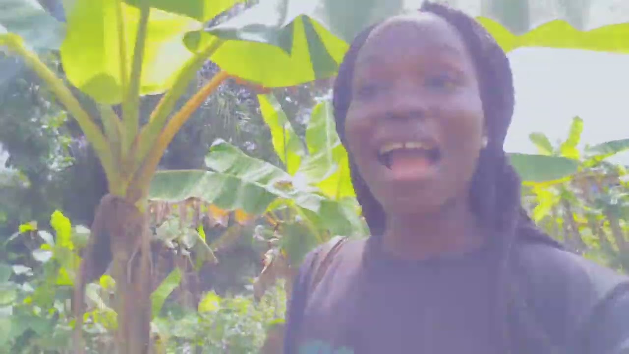 VLOG; WE ARE CLEARING 6 ACRES OF LAND