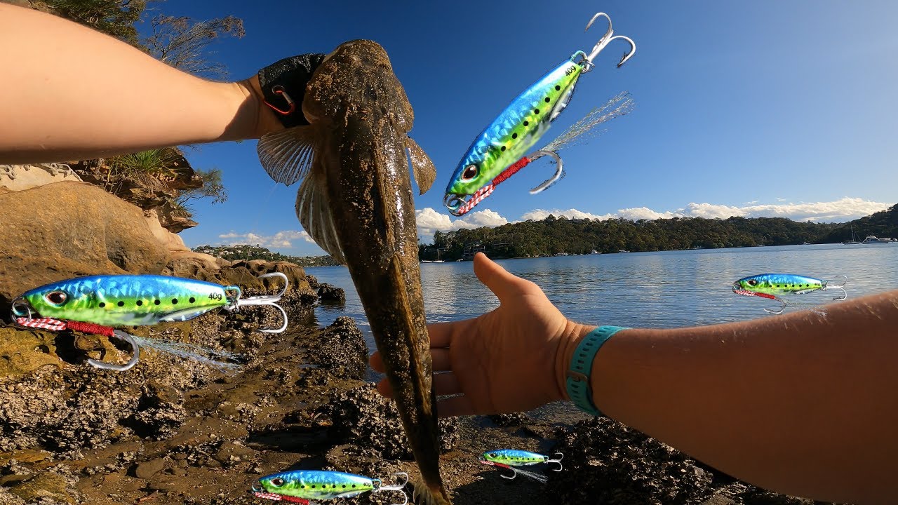 Metal Jigging sand flats for Flathead (small tips) - Sydney Harbour North Arm