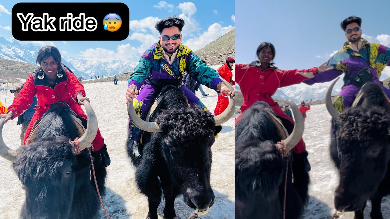 Raju took yak ride 🦬😍 || raju dari hui hai 😂 || travel vlog 9