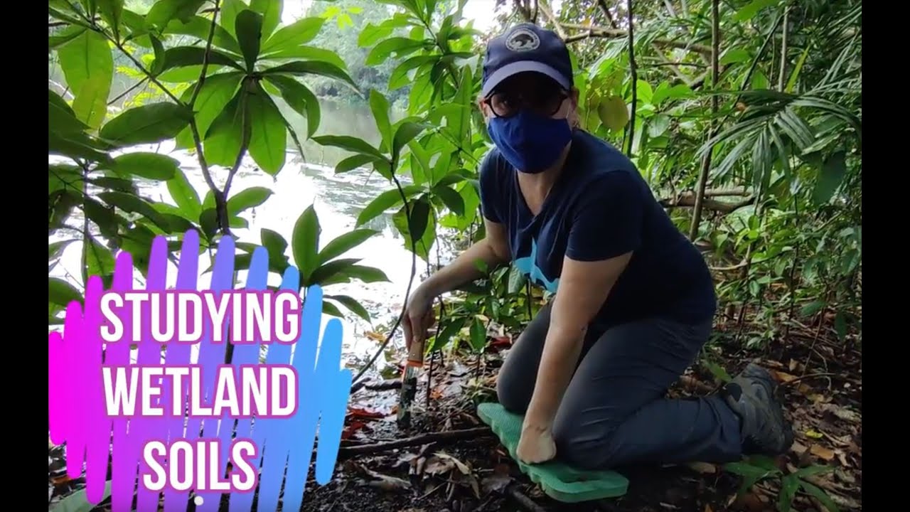 Soil Characterisation Tutorial
