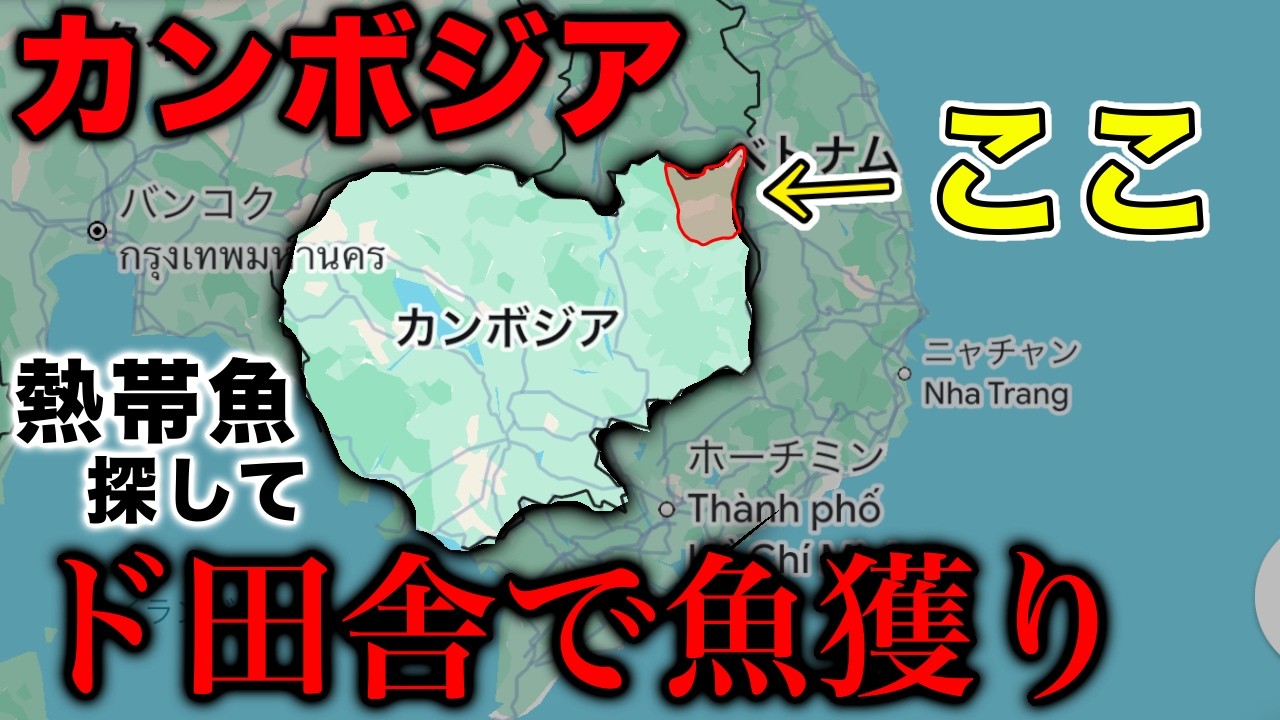 まだ見ぬ熱帯魚を探して海外のド田舎まで来てしまった【熱帯魚採集ロマン旅】