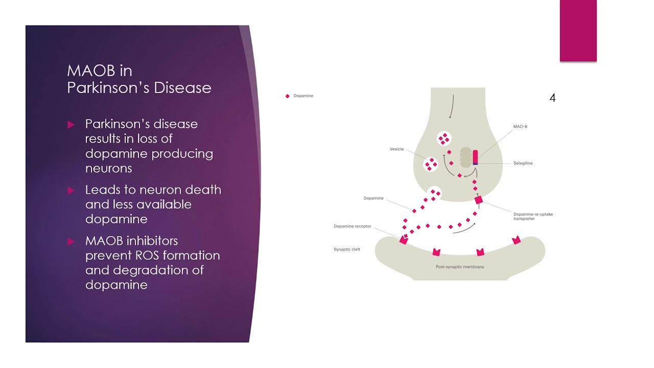 Monoamine oxidase B (MAOB)