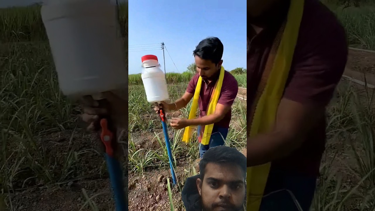 खेती के लिए बेहतररिन जुगाड़ #जुगाड़ #jugad #kheti #shortsfeed #farmer #virlvideo #yt #organicfarming