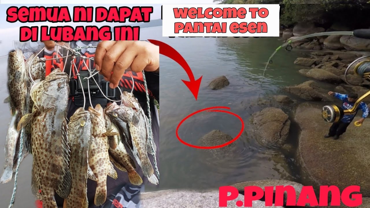 ‼TERJUMPA SARANG KERAPU DI PANTAI ESEN. PPINANG.spot mancing pantai esen