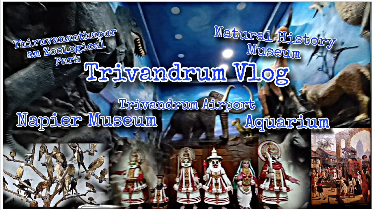 Thiruvananthapuram Zoo Park/ Napier Museum/ Natural History Museum/ Aquarium/ Trivandrum Airport/ D5