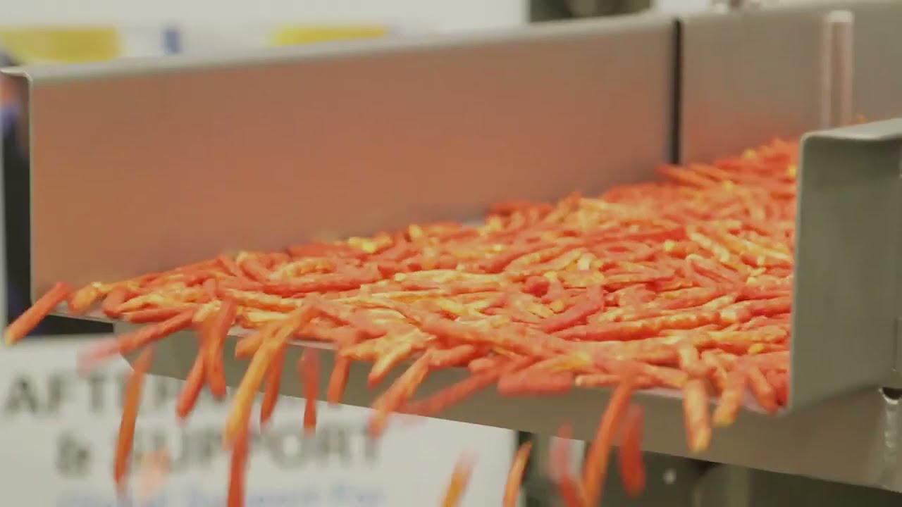 PPM Technologies Electromagnetic Vibratory Conveyors