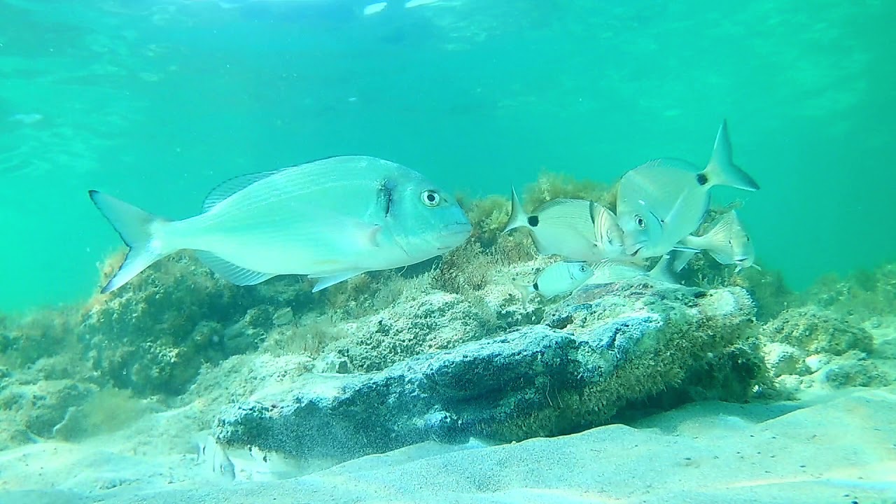Lido Marini - Salento