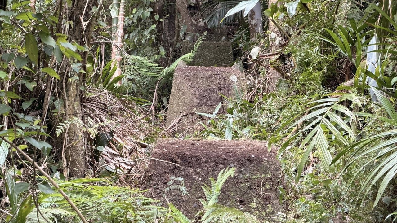 臺灣臺東縣成功鎮キナブカ発電所第四次現地探勘影像紀錄