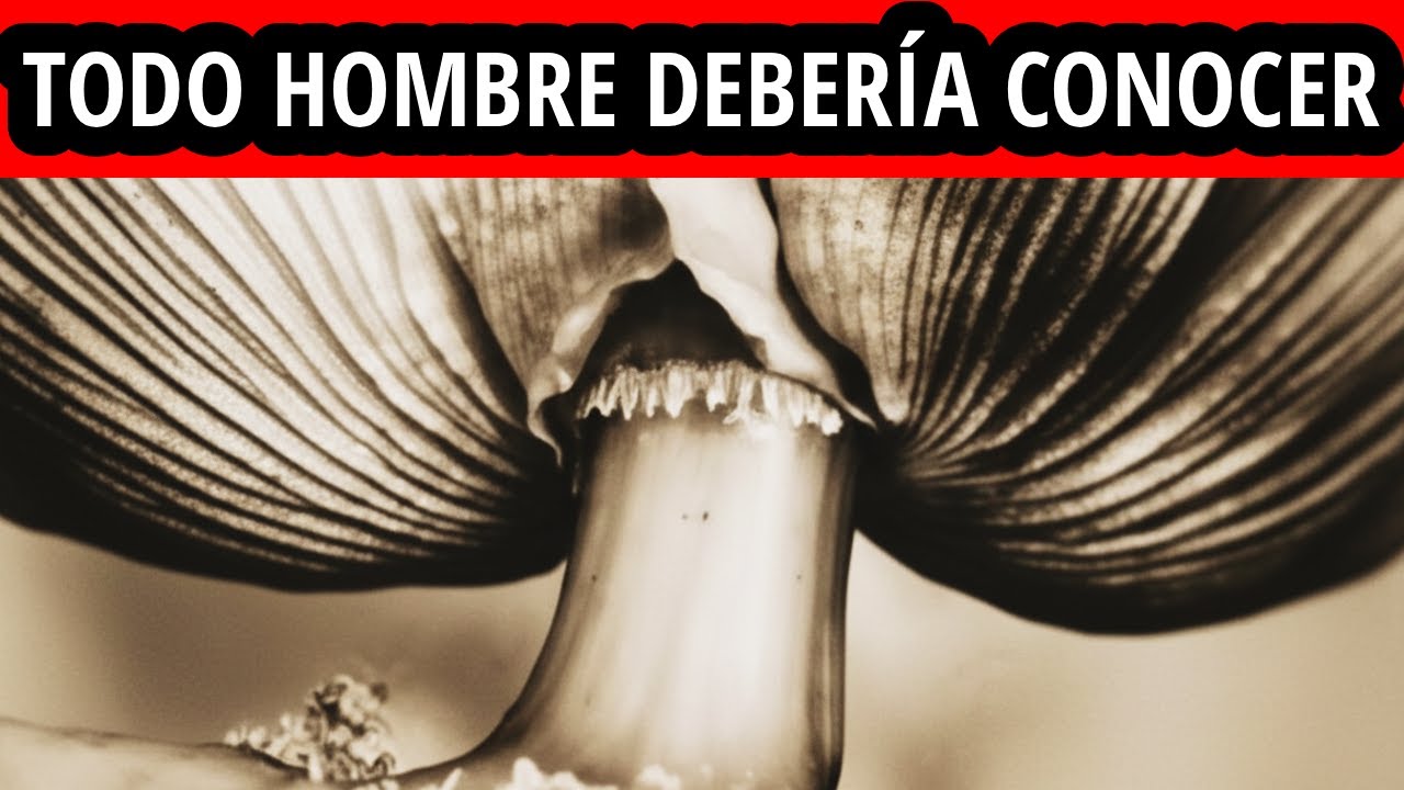 Los 10 ACTIVADORES de PLACER que todo HOMBRE debería CONOCER