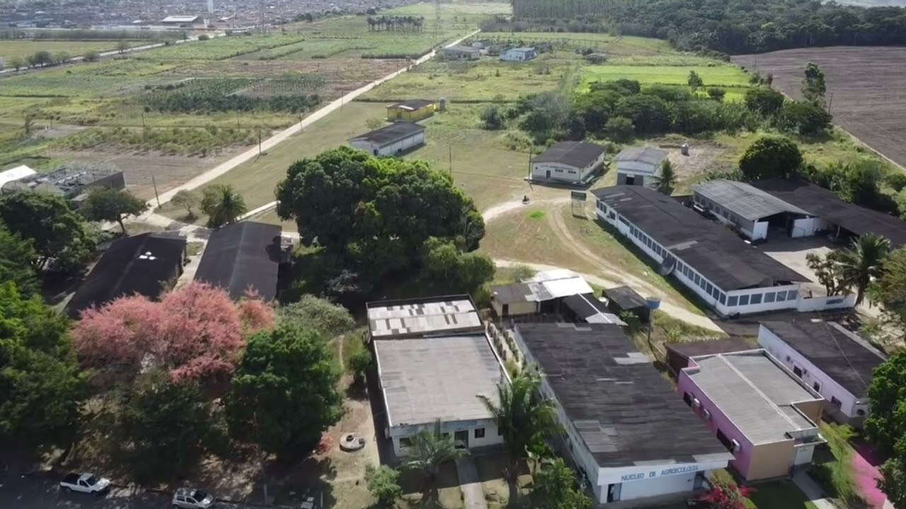 Videografia do Centro de Ci&ecirc;ncias Agr&aacute;rias (CECA/UFAL) #2