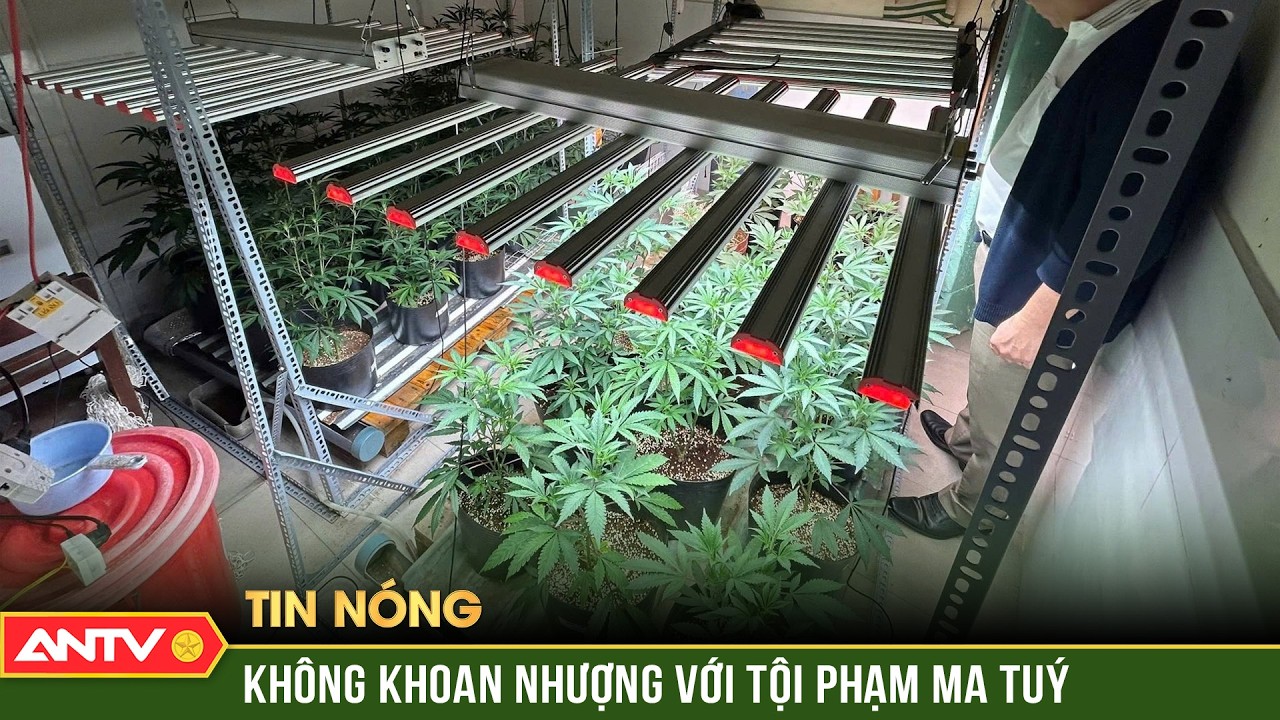 Vững vàng trên trận tuyến với tội phạm ma túy | ANTV