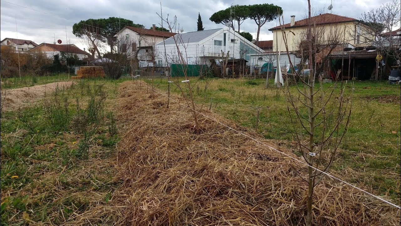 (3° Parte) - Piantumazione Alberi + inzaffardatura
