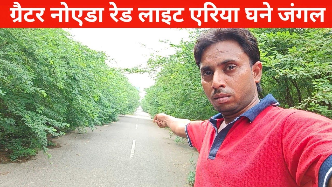 ग्रेटर नोएडा रेड लाइट एरिया घने जंगल सड़क से जादा बबूल के पेड़ कहां है सरकार 🤔