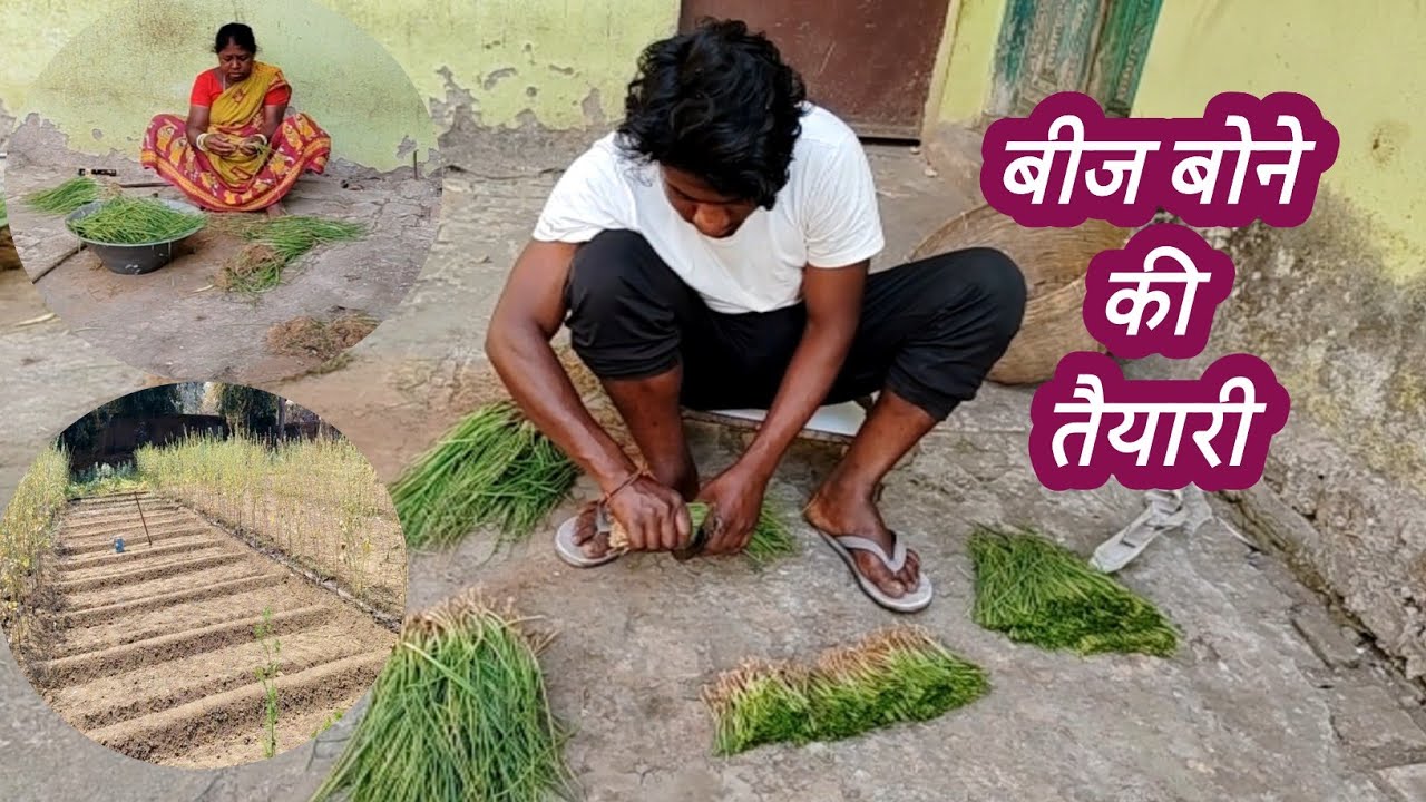 बीज बोने की तैयारी शुरू हो गई है | प्याज़ की खेती | village life farming vlogs | playful Asha 