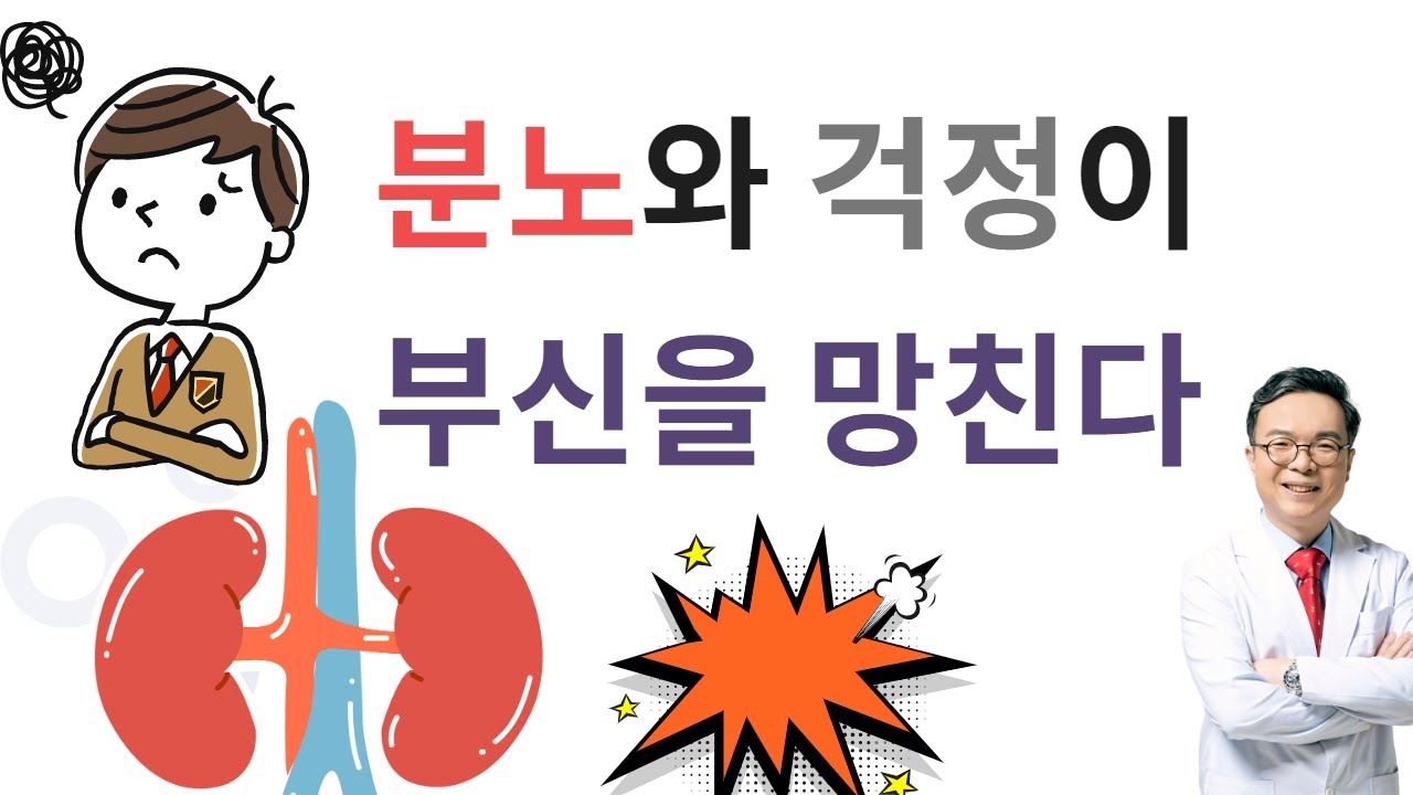 부신피로를 만드는 2가지 대표 감정. 부신의 기능과 부신피로 탐구