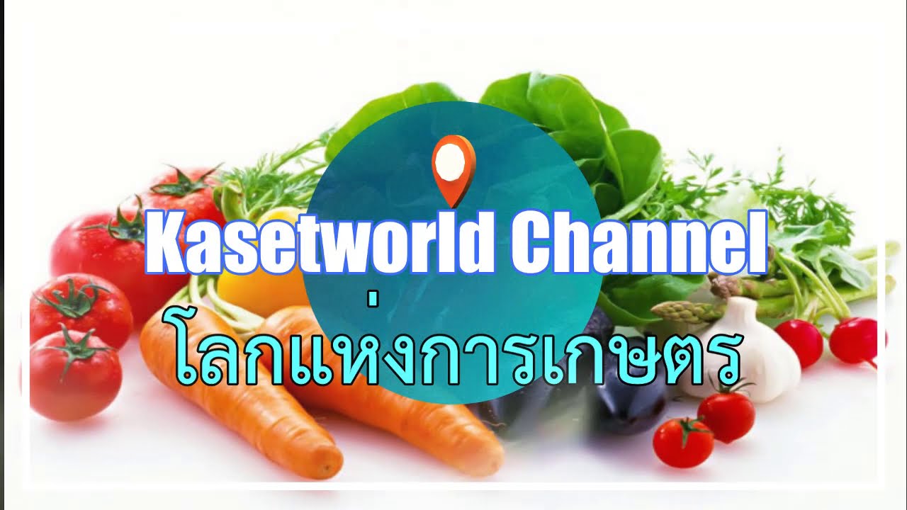 สังซื้อจุลธาตุ รองเสริม แคลเซียม โบรอน ที่ไหน? (ตอบคำถามนะครับ)