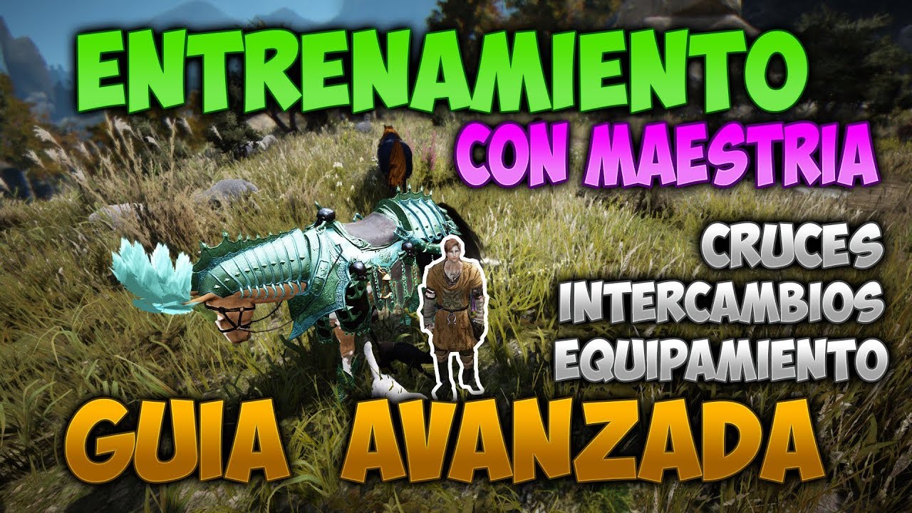 Guía Entrenamiento con Maestría - #3 Avanzada - BDO - Cruces | Intercambio - Black Desert 2019