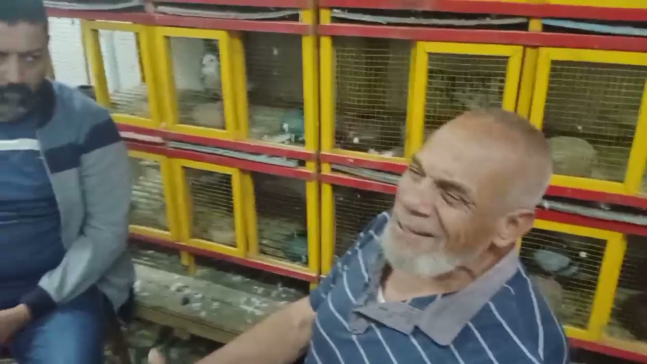 لقاء مع عملاق الغيه المصريه الحج فتحى حلميه .وعادل عزيز .ممدوح سمكه وخبايا الدبوره الصفرا