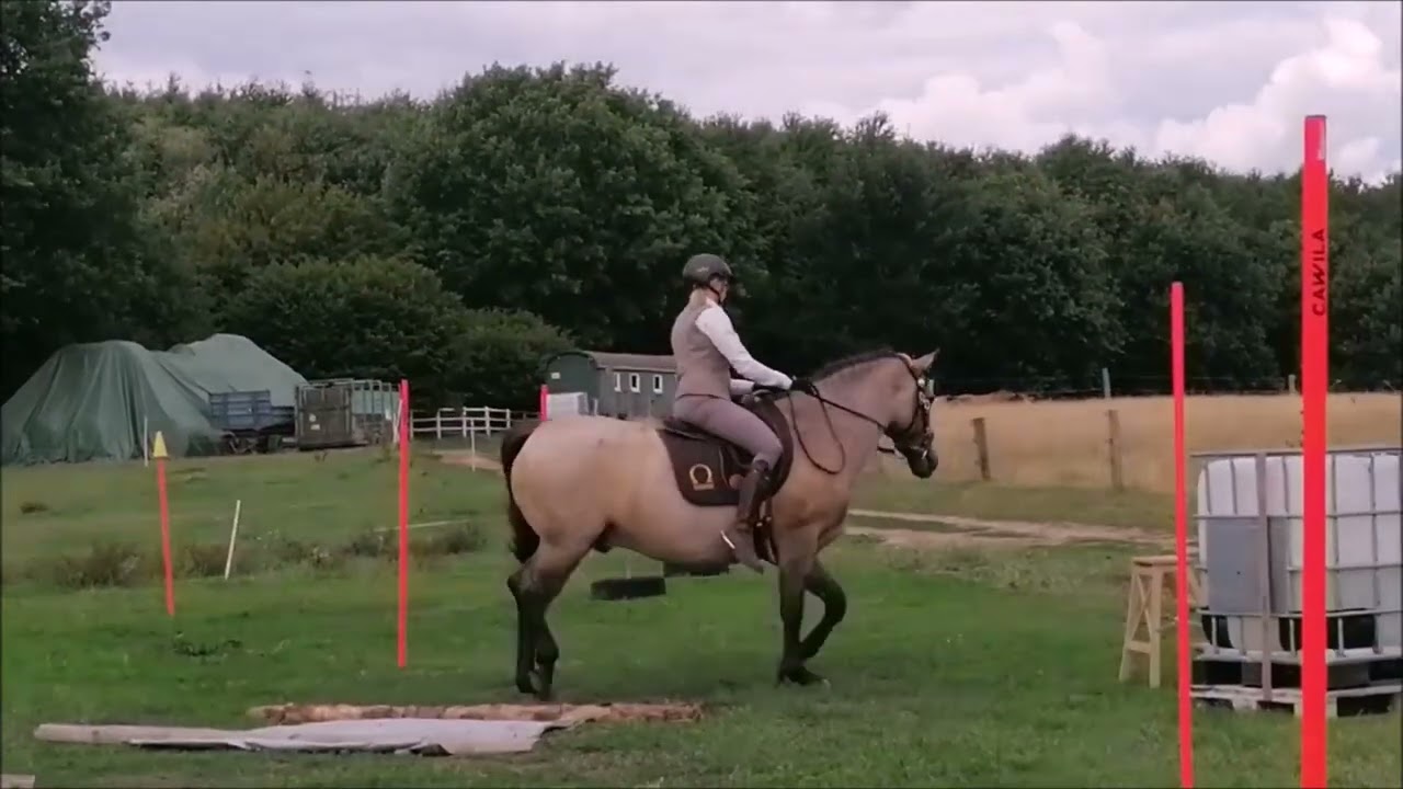 WE Stiltrail - Working Equitation