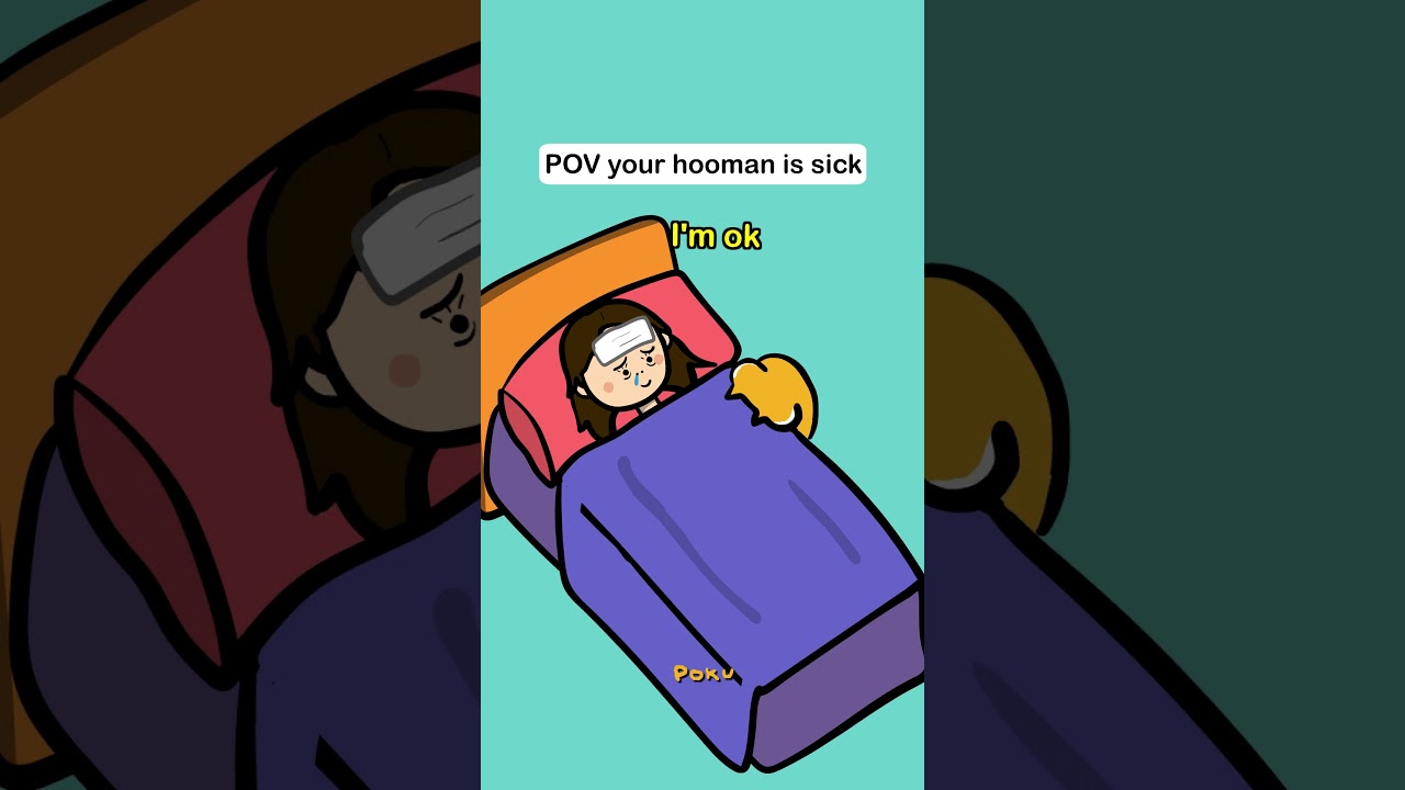 When your hooman is sick 🤒😿