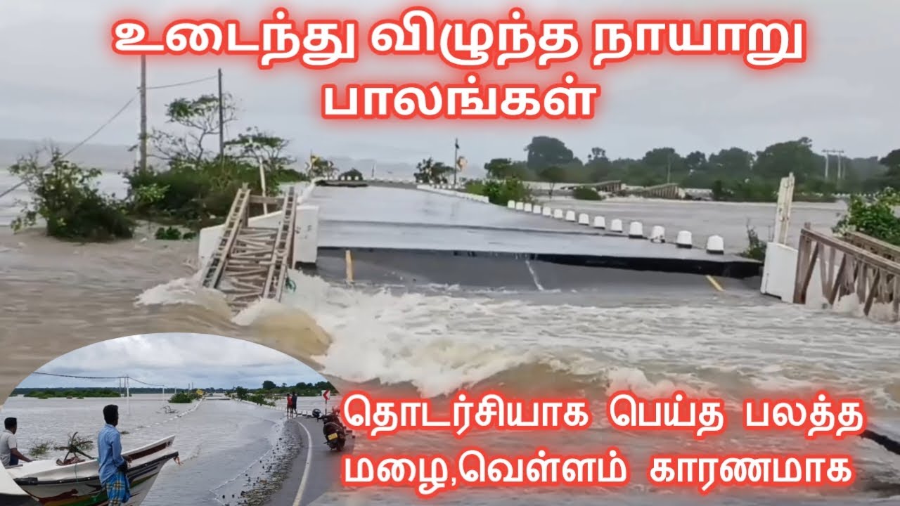 🌁தொடர்சியாக பெய்த பலத்த மழை வெள்ளம் காரணமாக உடைந்து விழுந்த நாயாறு பாலங்கள்/Nayaru bridge collapsed
