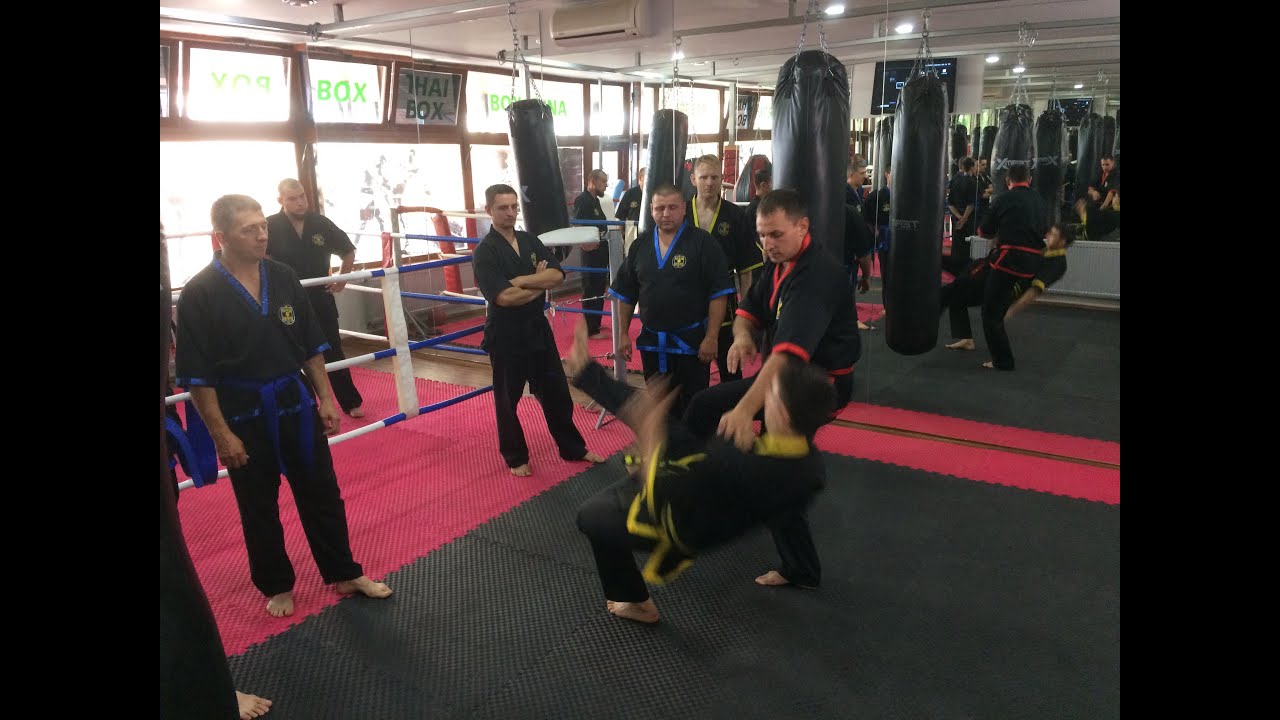 Bojové umění Wing Chun