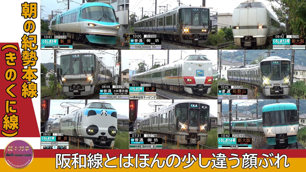 阪和線と何が違う？朝の紀勢本線(宮前～紀三井寺付近)【続々列車】