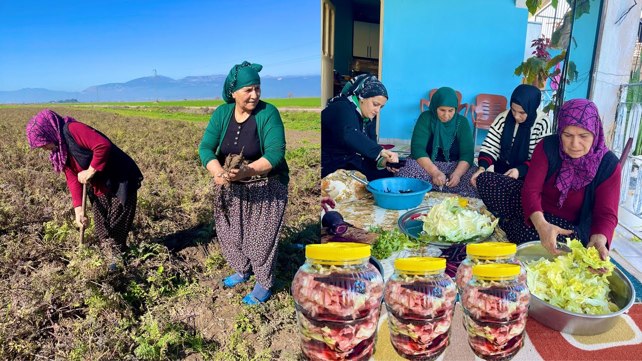 LEZZET KÖYÜ BİDON BİDON TURŞU YAPIMI ~ TAZE HAVUÇ HASADI HALAMIN SOBALI SICAK KÖY EVİ