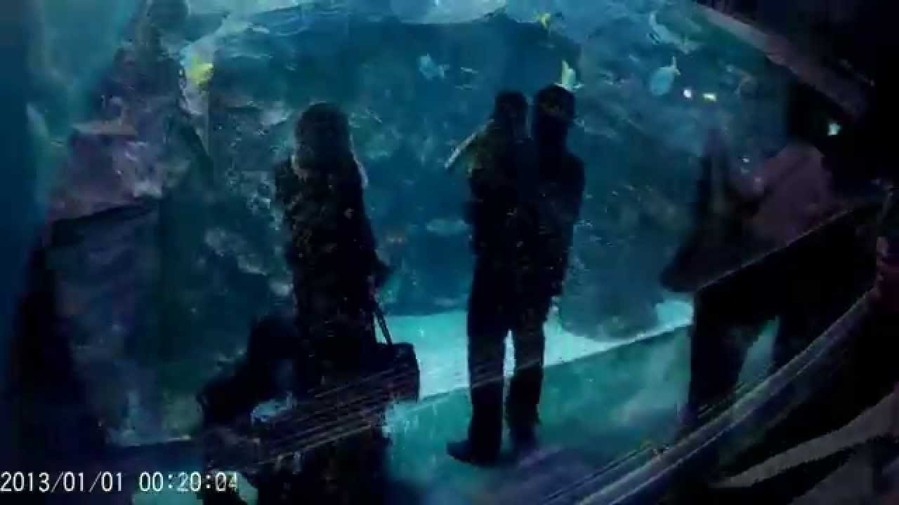 The Deep - Aquarium in Hull - Places to visit England