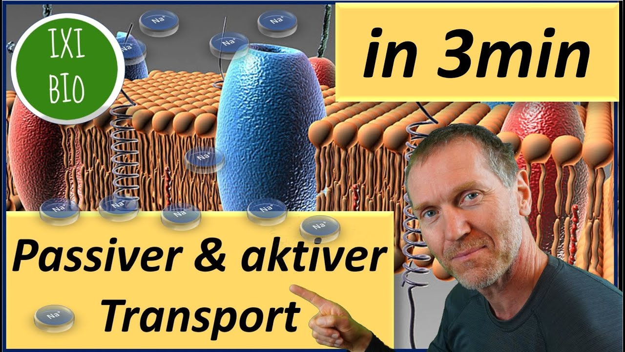 Biologie kurz und knapp - passiver und aktiver Transport in drei Minuten erklärt