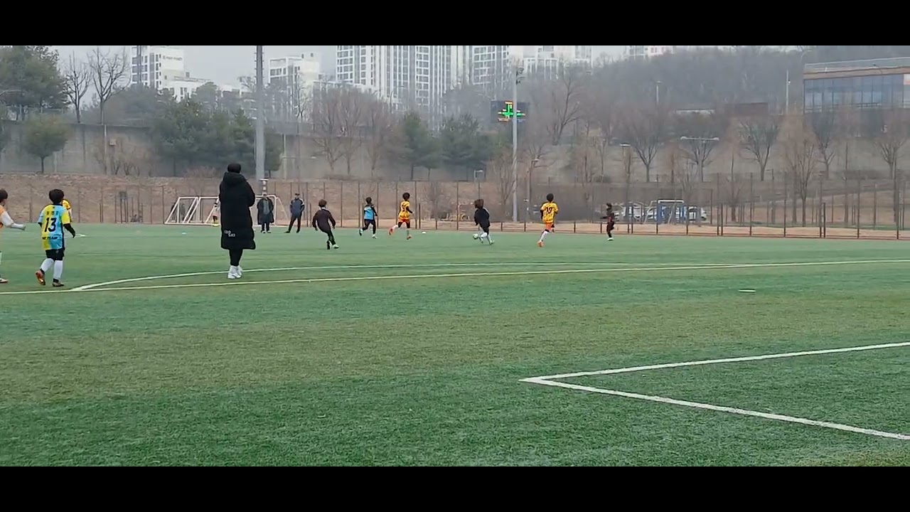 2026년 2월 20일