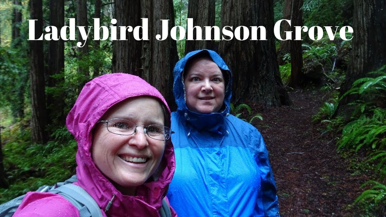 Redwood National Park - Lady Bird Johnson Grove - Park Travel Review