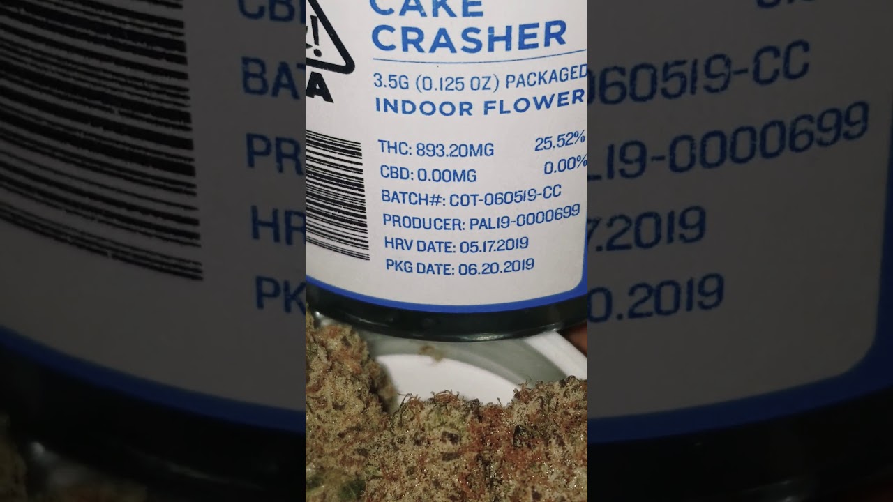 🍪🔥🌅 BERNER COOKIES CAKE CRASHERS STRAIN 🎂🍰💥💥