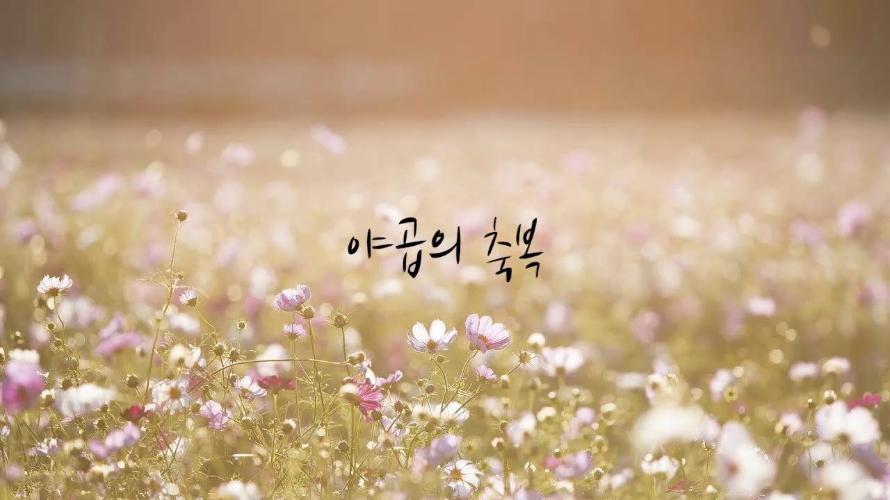 야곱의 축복 by 김대환