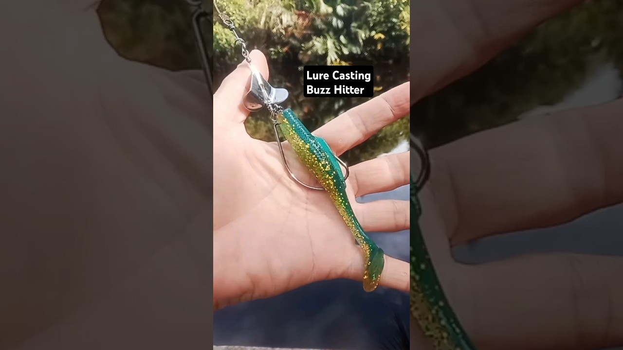 Lure Casting Buzz Hitter #fishing #lurecasting #softlure