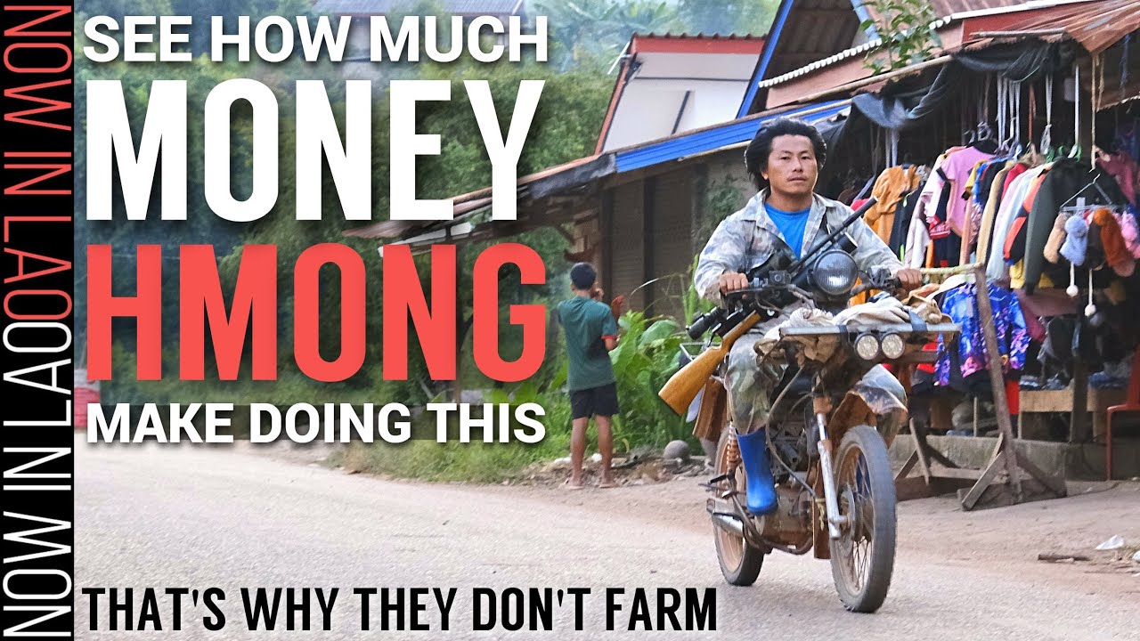How the HMONG MAKE MONEY and HOW MUCH | Now in Lao