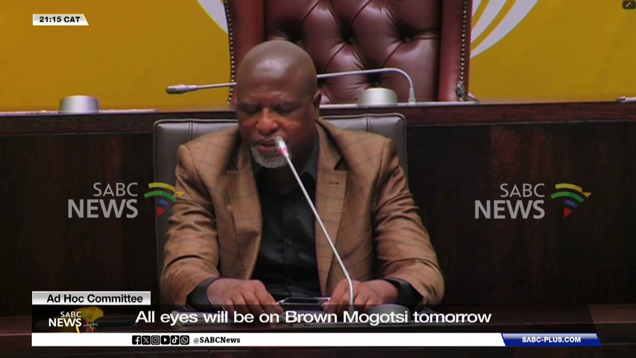 Ad Hoc Committee | All eyes will be on Brown Mogotsi tomorrow
