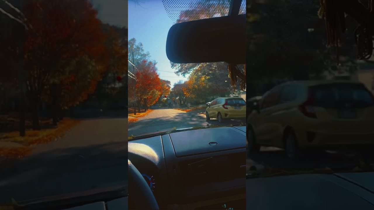 Therapy in motion🚗&mdash; nothing like the fall                #iwannabeyours #MotionDiaries #DrivingASMR