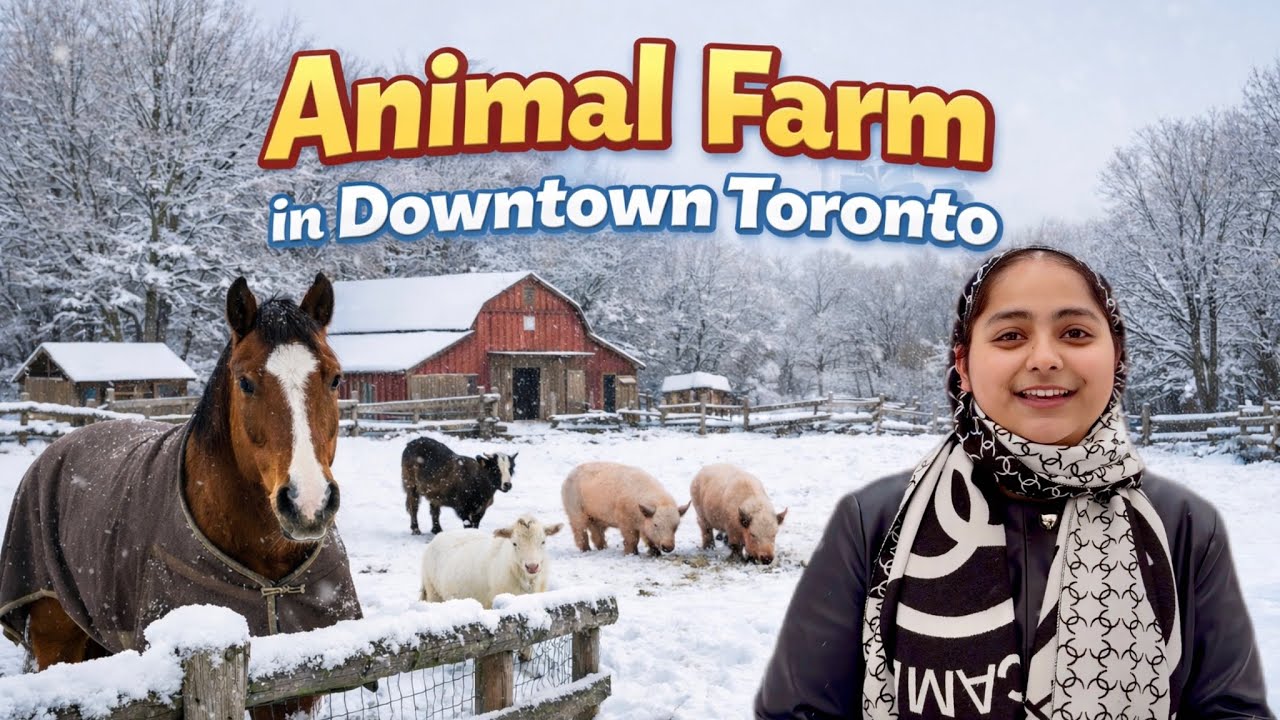 Riverdale Farm In Winter | Toronto Downtown ਵਿੱਚ ਦੇਸੀ Animal ਫਾਰਮ 🇨🇦