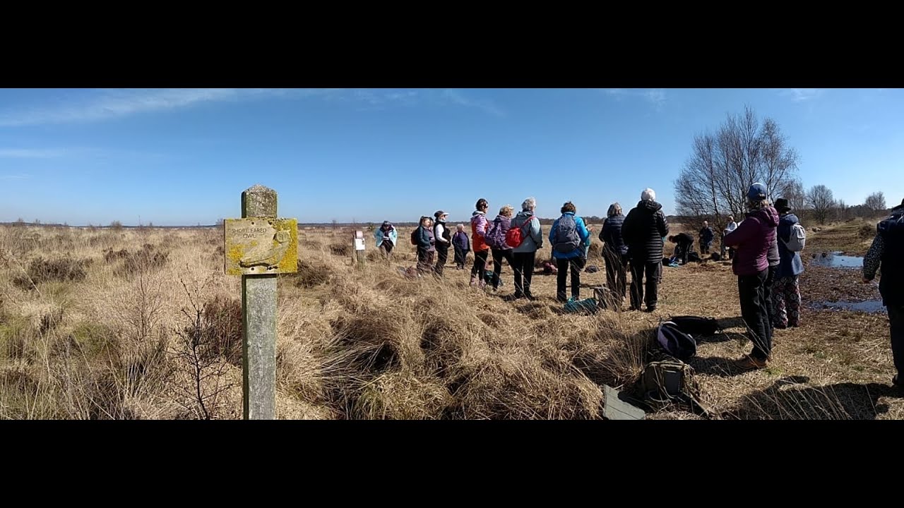 Whixall Moss Singing Walk   HD 1080p