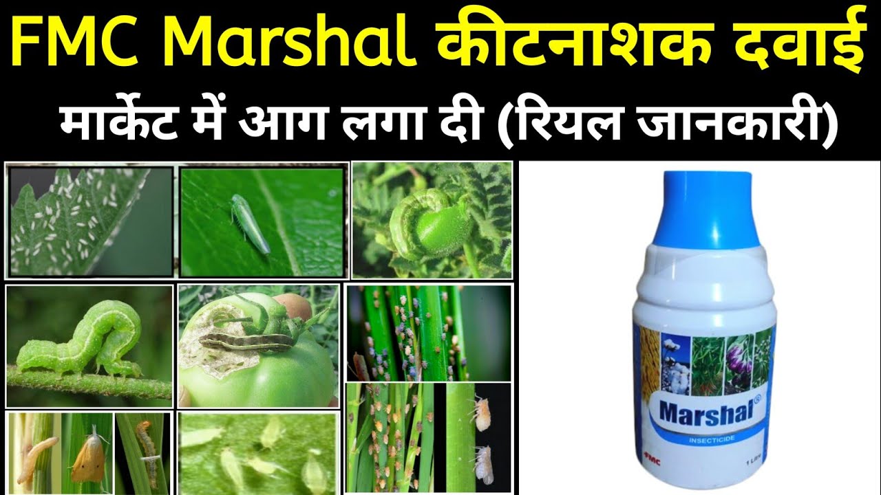 FMC Marshal insecticide | carbosulfan 25% EC | कपास, मिर्च, टमाटर, बैंगन, धान, ककड़ी | मार्शल