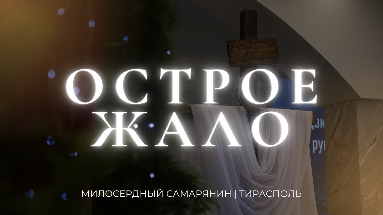 Острое жало | Ольга Чугурян