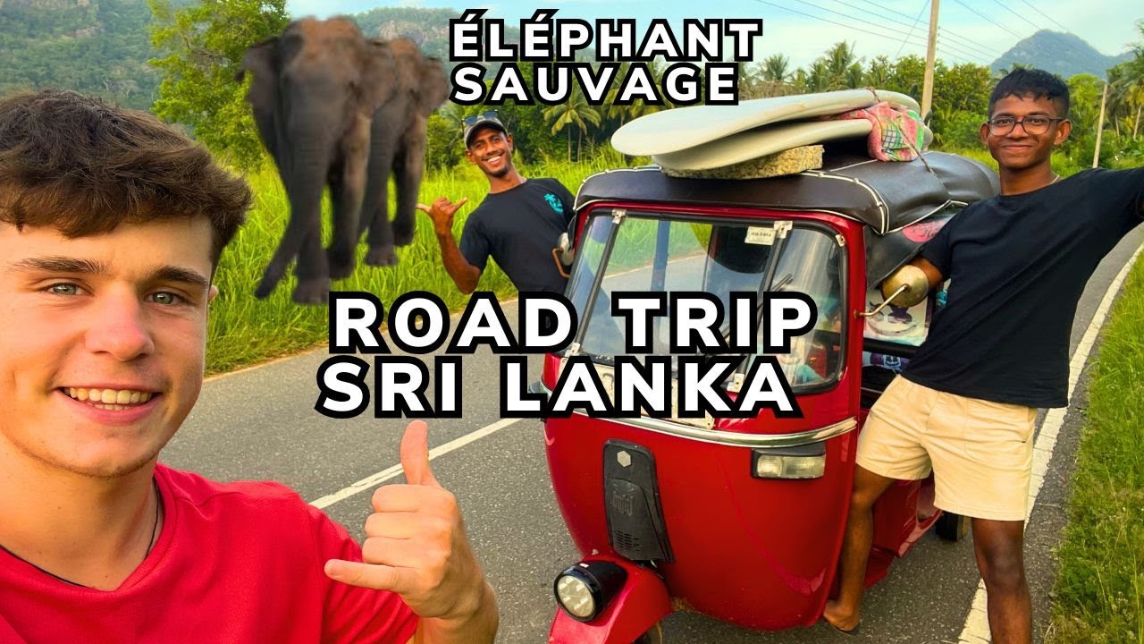 3 mois au Sri Lanka : ce voyage a changé ma façon de voir le monde