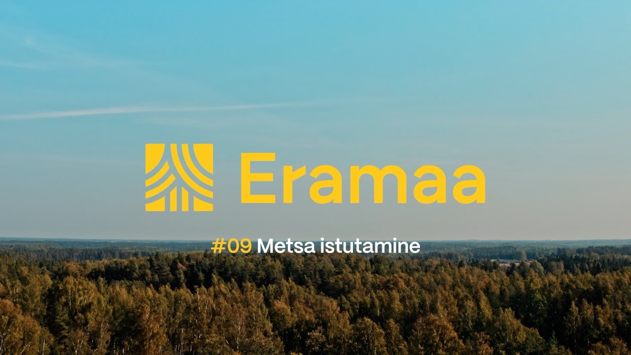 Eramaa &ndash; metsa istutamine