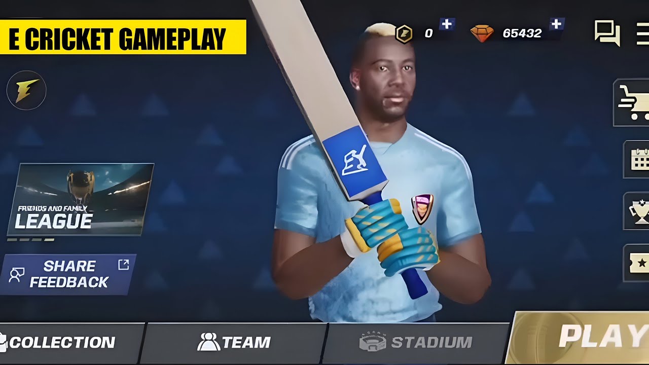 E Cricket Gameplay