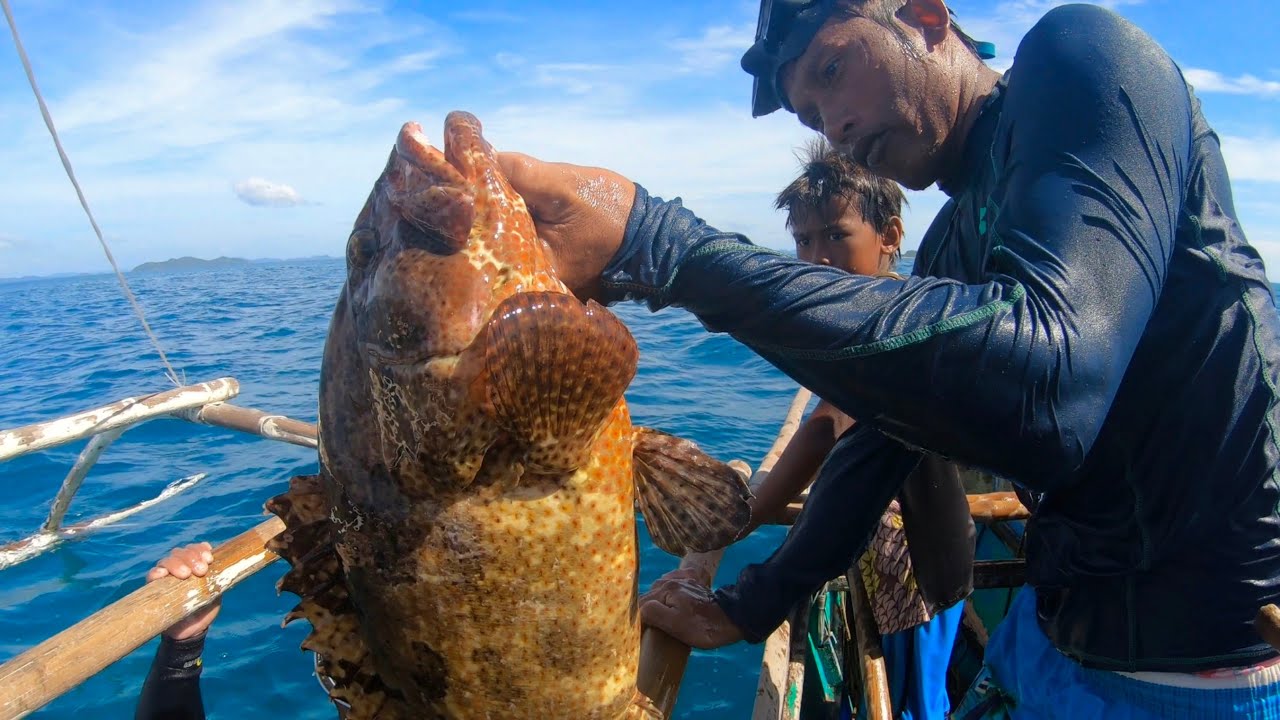 Grouper, Moray ell and Cuttlefish freediving catch | Catch & Sell