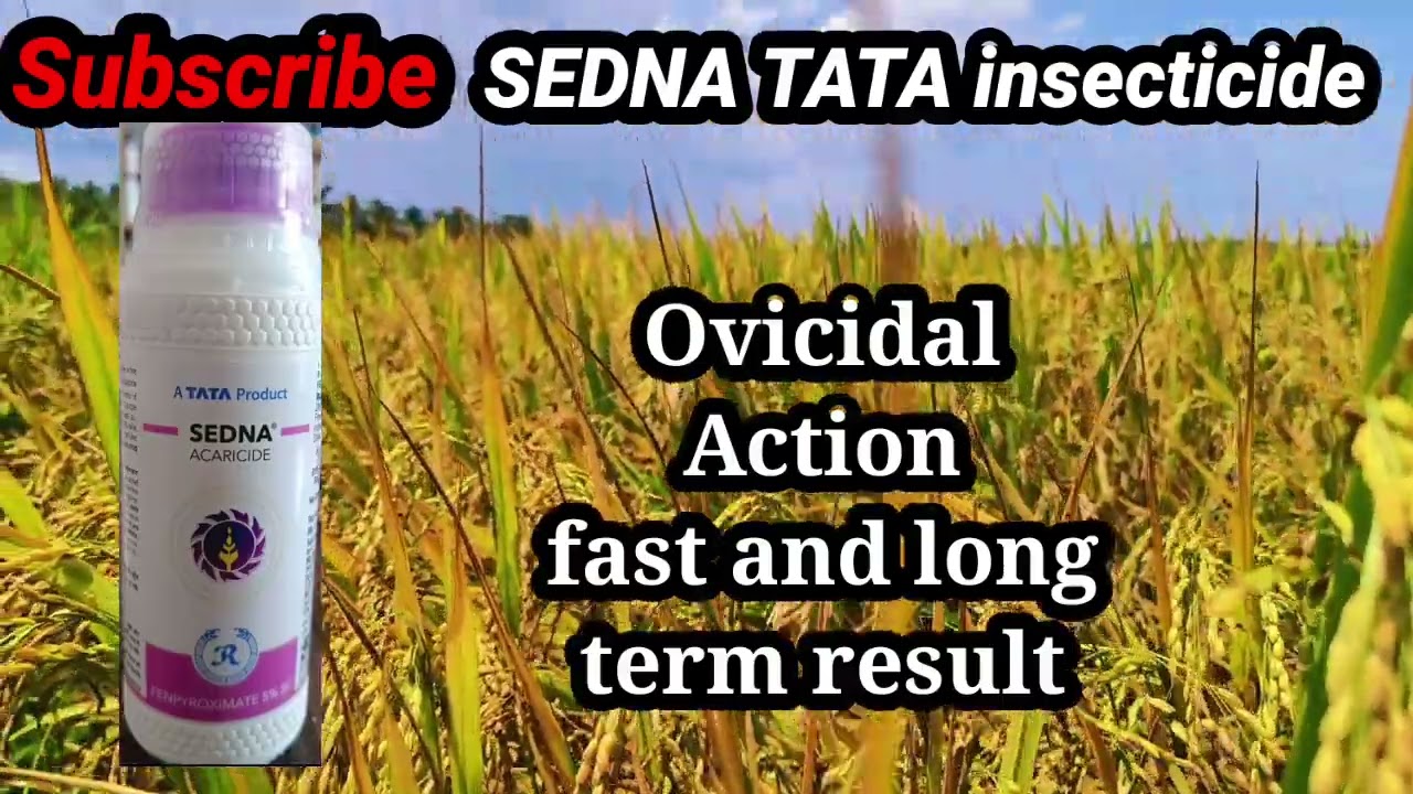 Sedna insecticide TATA Fenpyroximate 5%SC Special mites Acaricides