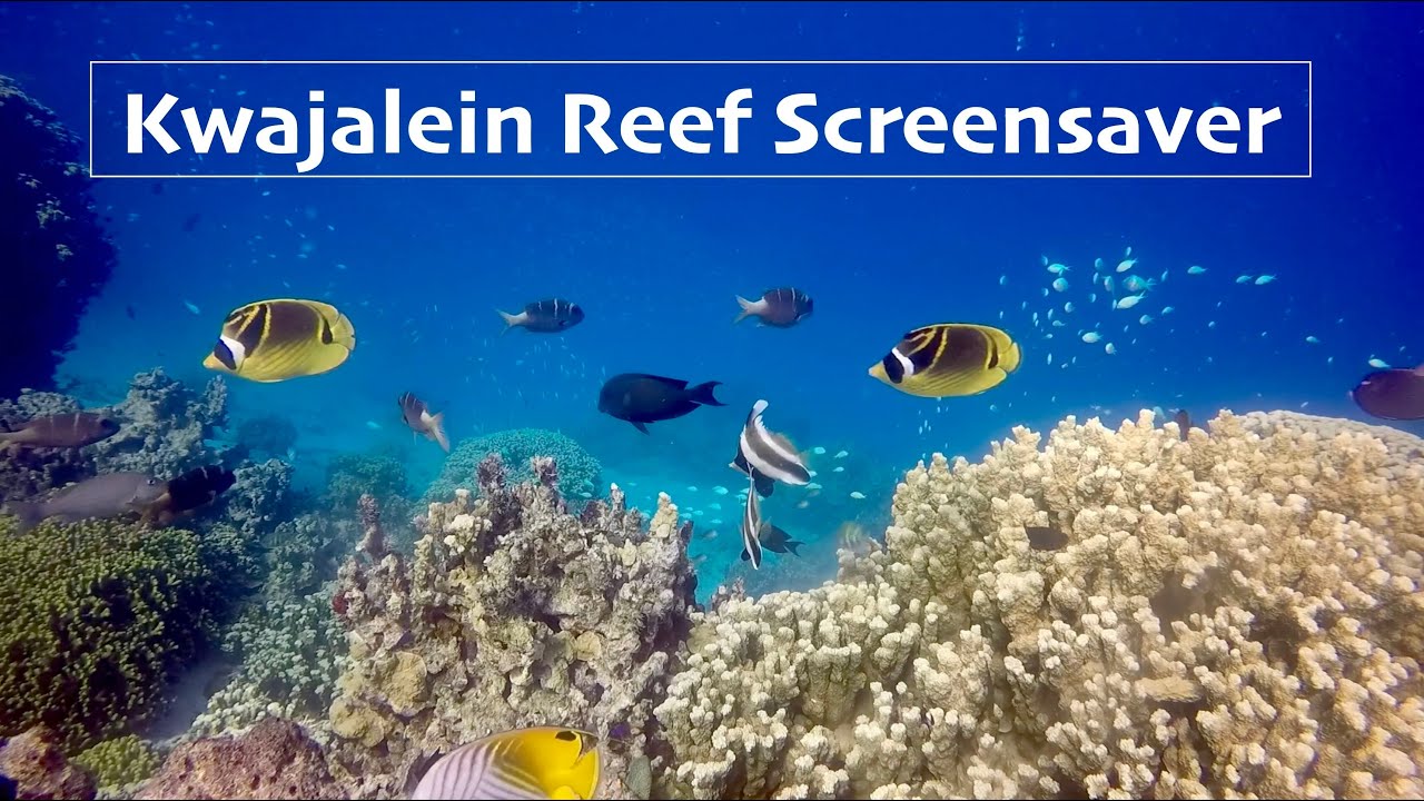 Kwajalein Reef Screensaver 11