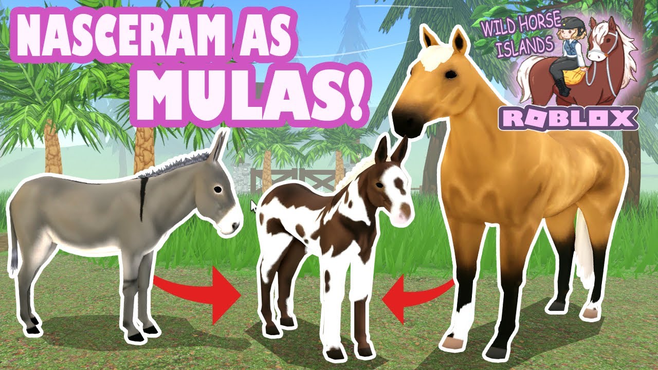 CRUZEI MEUS JUMENTOS COM AS ÉGUAS E OLHA OS FILHOTES QUE NASCEU!❤️​  - ROBLOX wild horse island